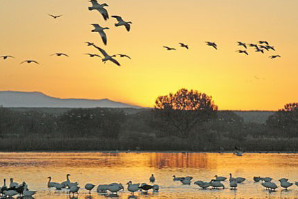 Ron Wolfe and Will Keener