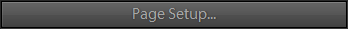 Page Setup Button