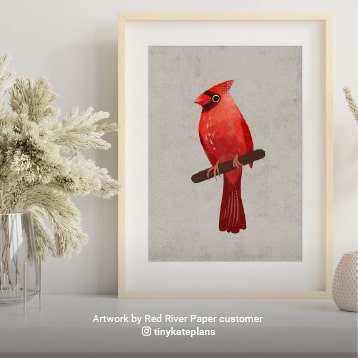 Premium inkjet photo and art papers
