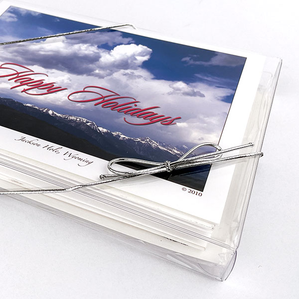 Silver Metallic Stretch Loops 25 Pack